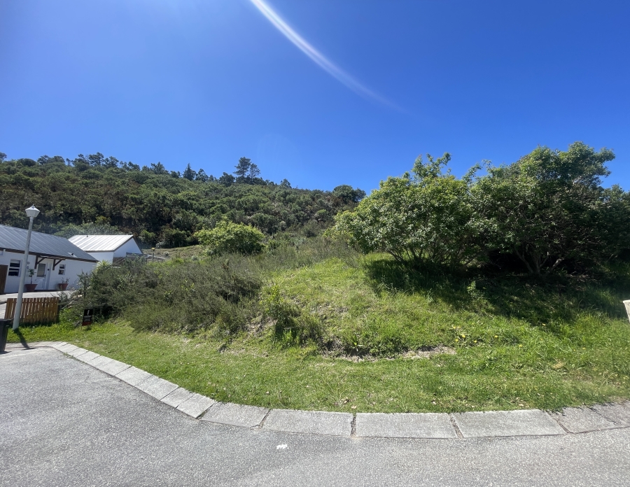 0 Bedroom Property for Sale in Green Pastures Western Cape